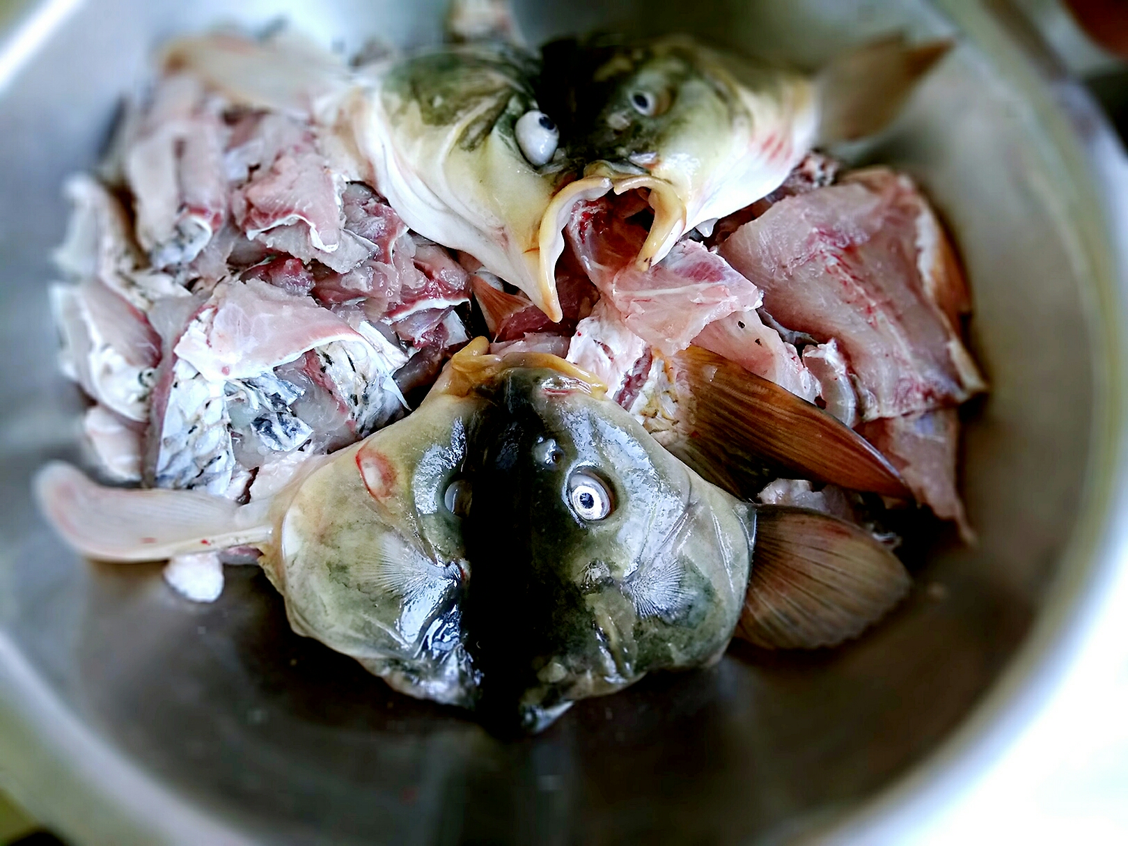 塔吉鍋版剁椒魚頭的做法 步骤1