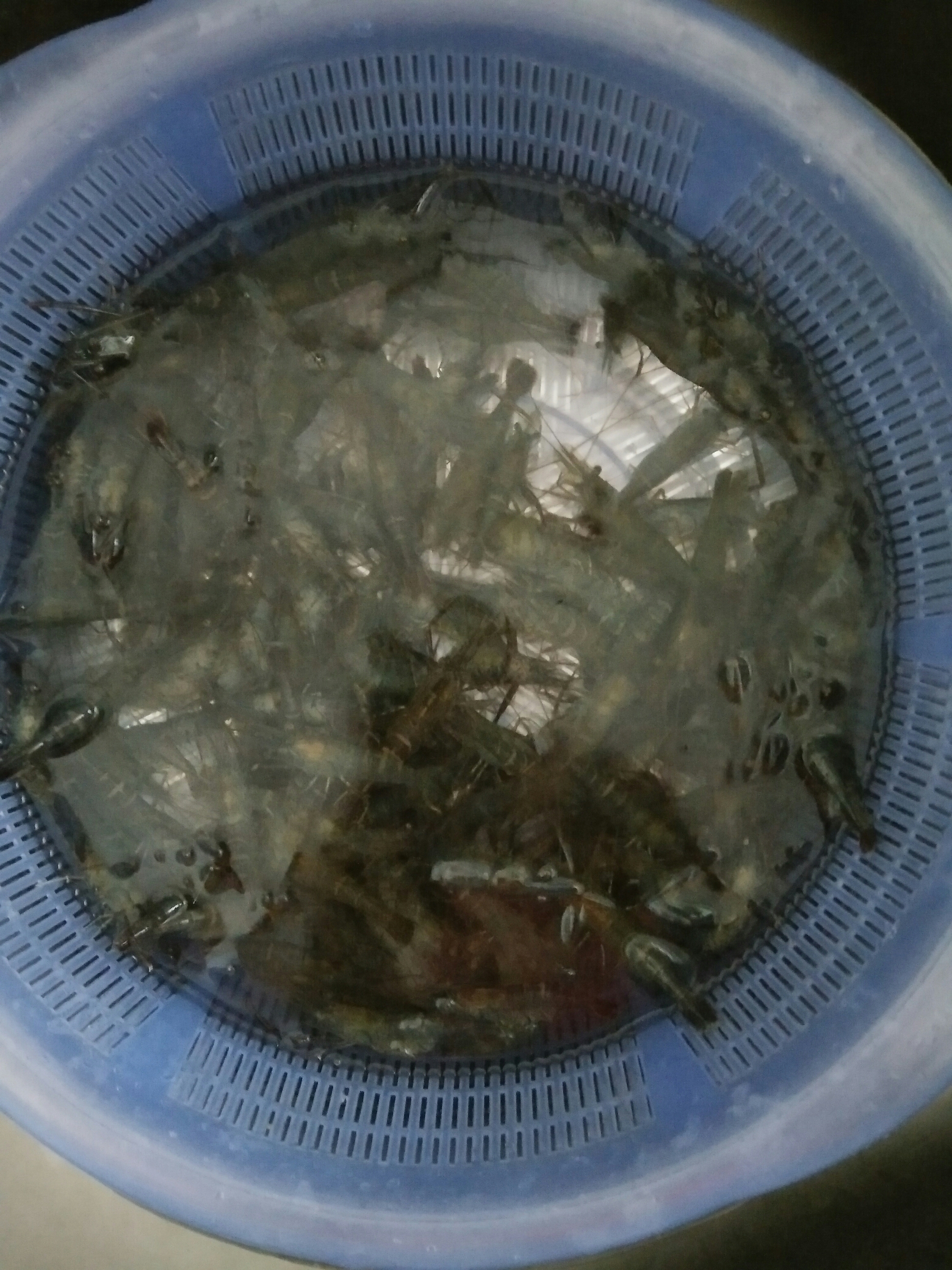 水煮河蝦的做法 步骤2