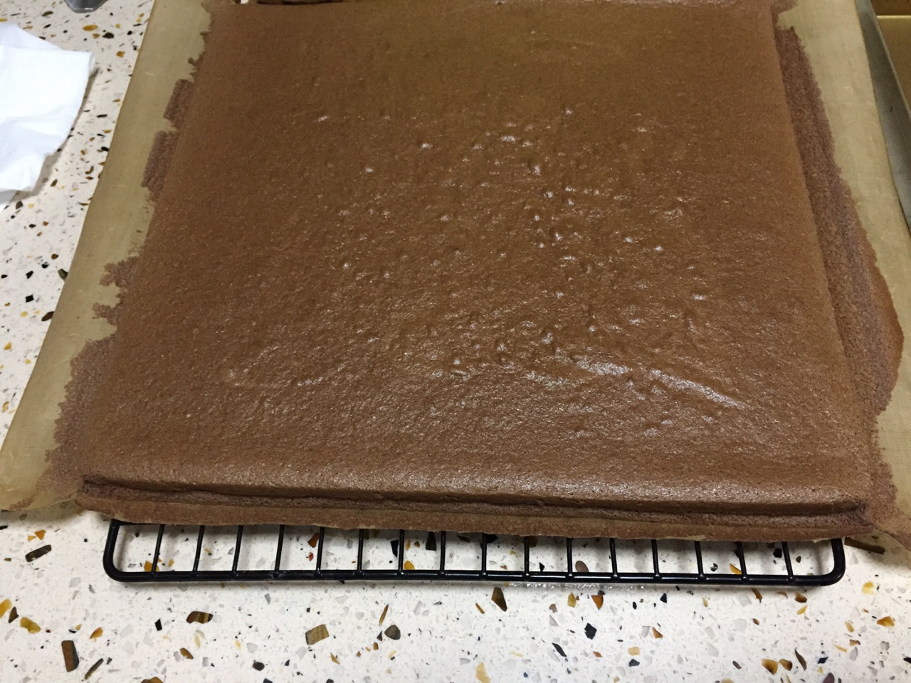 黑巧克力蛋糕卷的做法 步骤8