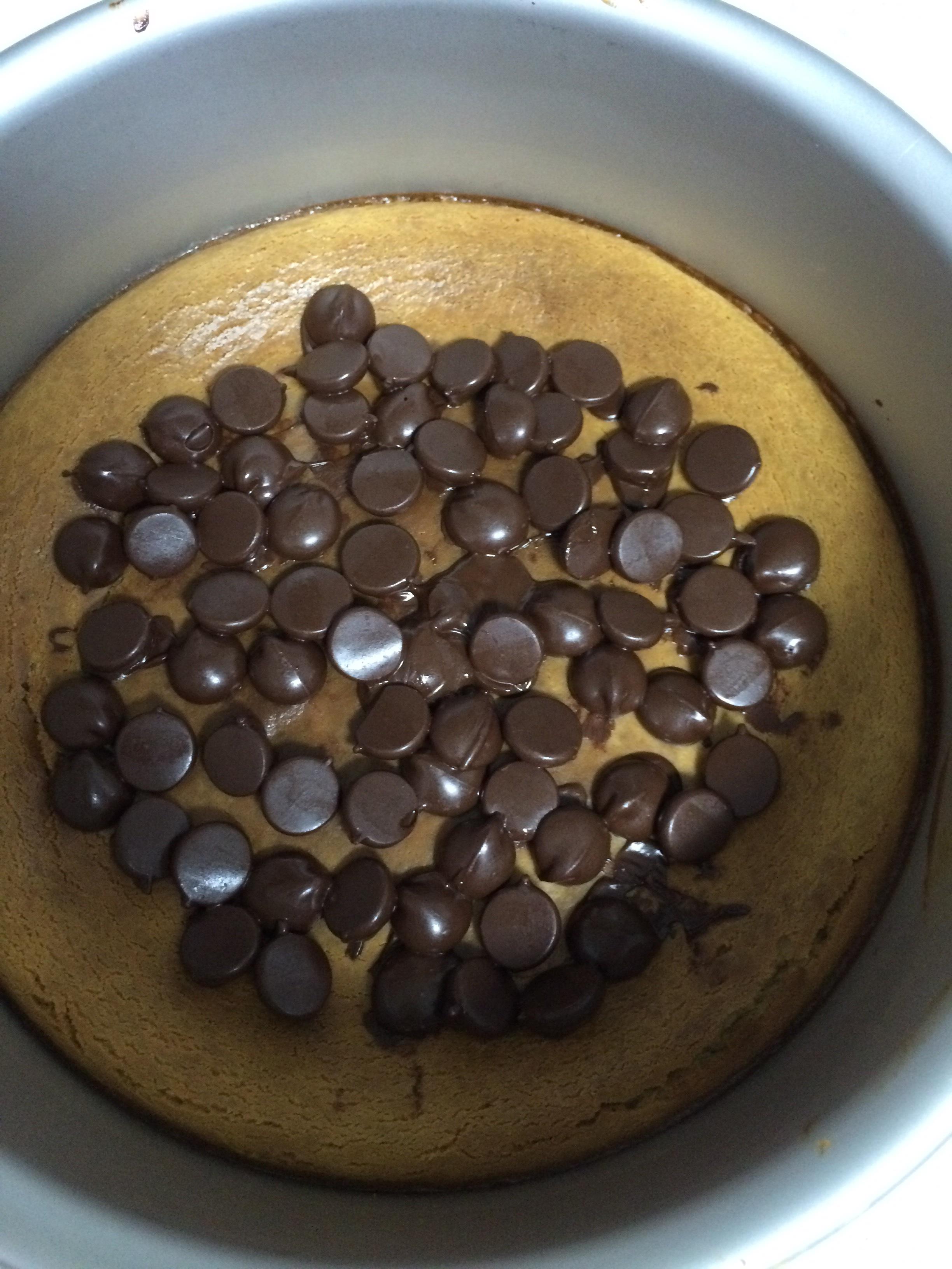 酸奶油巧克力咖啡芝士蛋糕的做法 步骤6