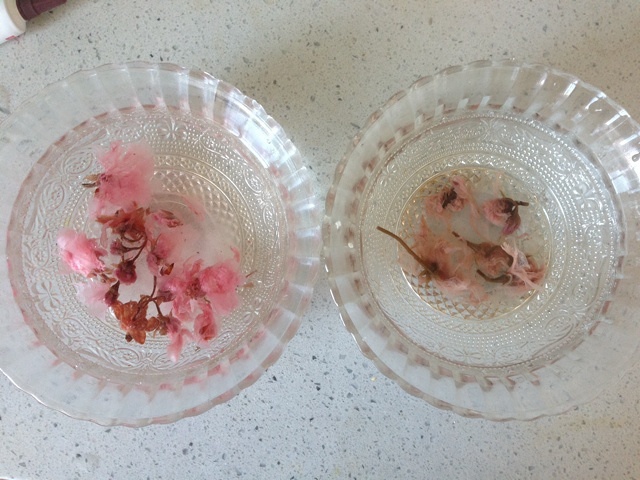 美好滴櫻花凍酸奶芝士蛋糕8寸改良版~~❤的做法 步骤3
