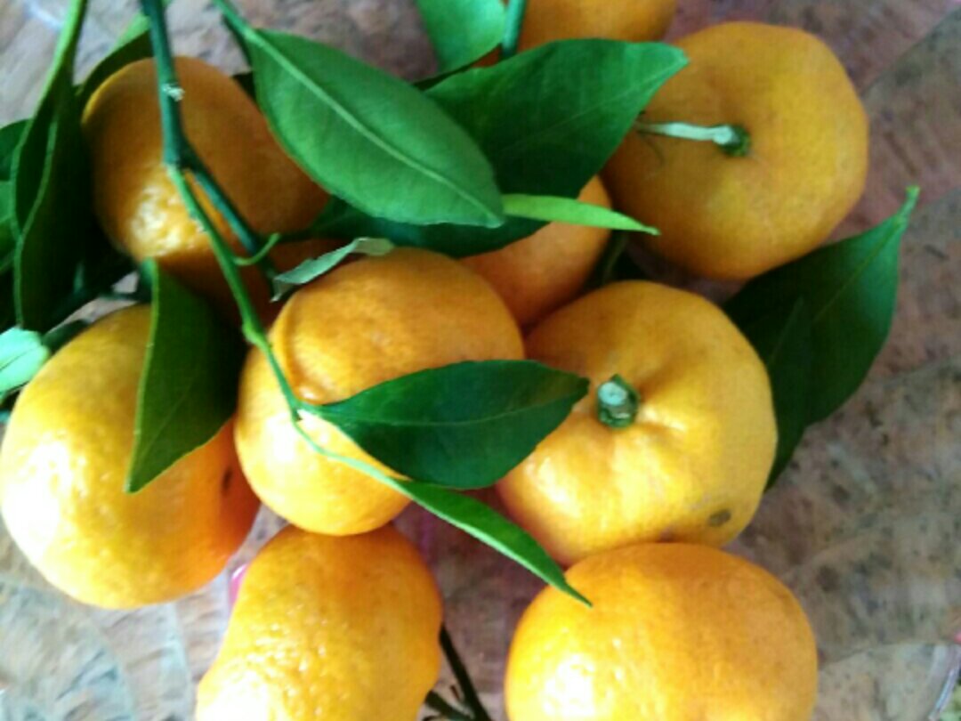 橘子蜂蜜脆底小麪包（香、脆、內軟）的做法 步骤1