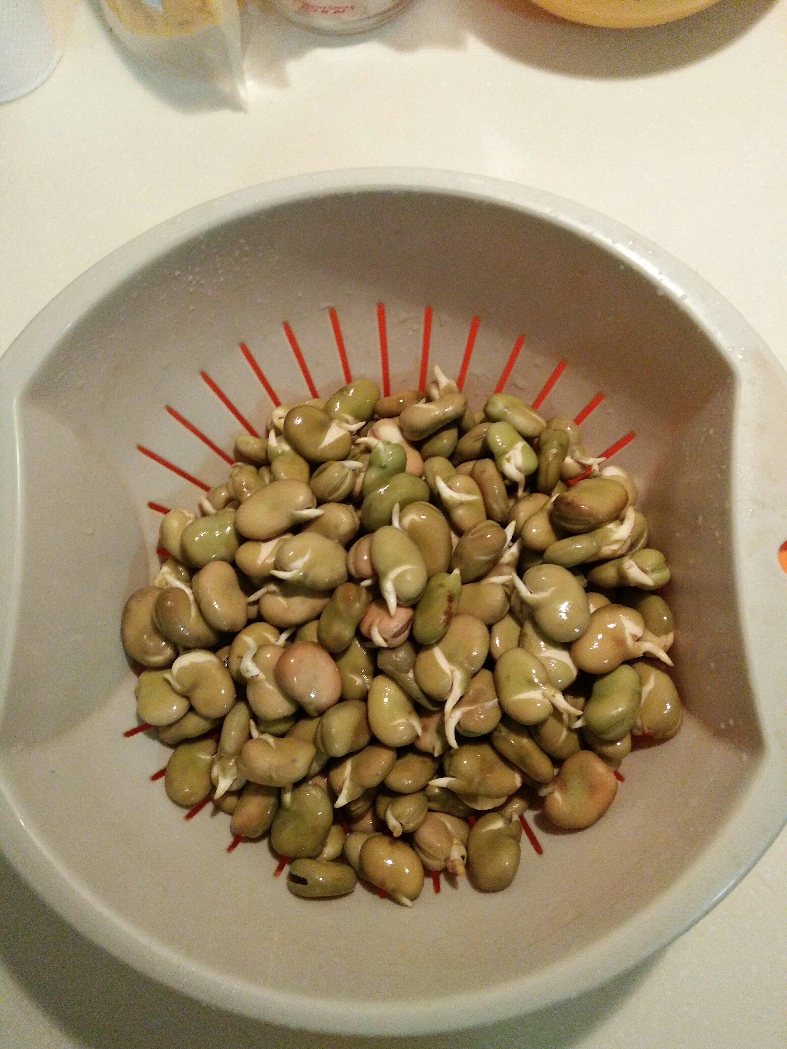 端午節蠶豆的做法 步骤1