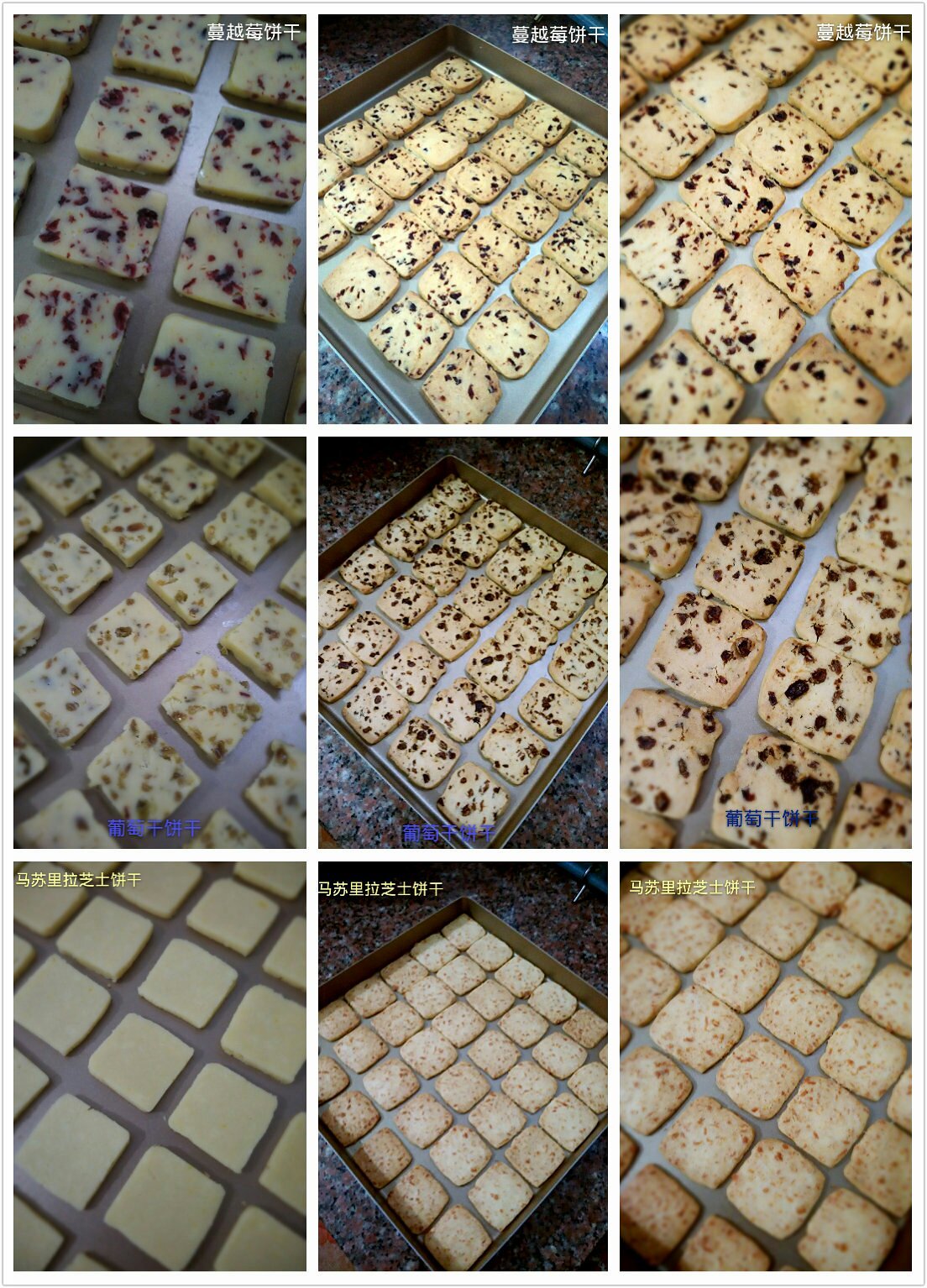 酥脆餅乾（多種口味：蔓越莓甜味、葡萄乾甜味、馬蘇裏拉芝士鹹味）的做法 步骤4