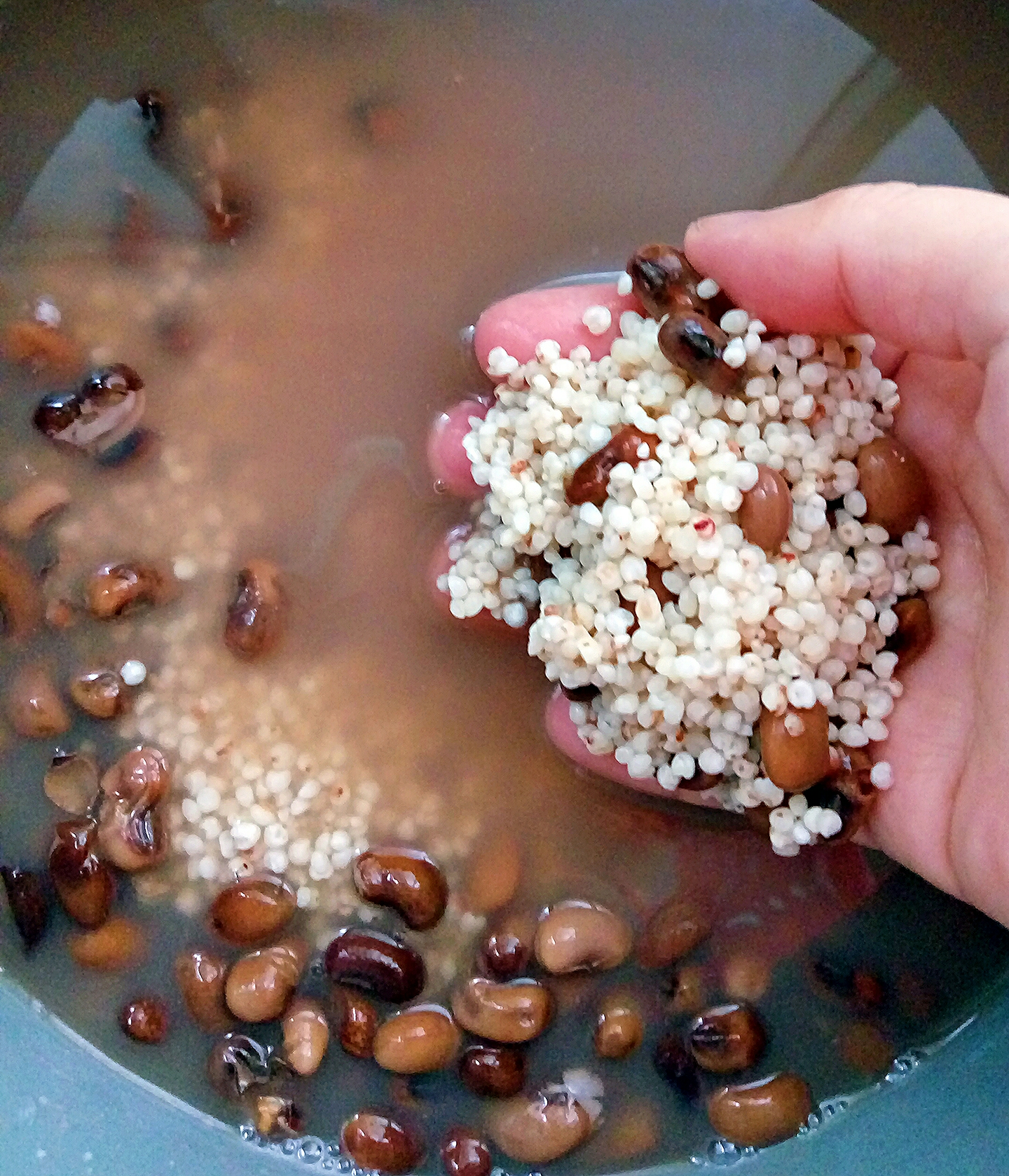 高粱米 豇豆飯的做法 步骤3