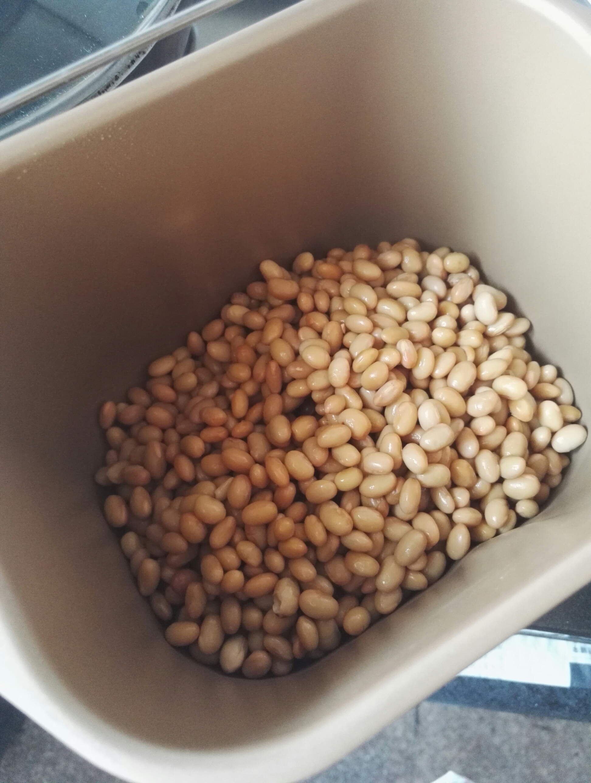 自制納豆（東菱麪包機TM018）的做法 步骤11