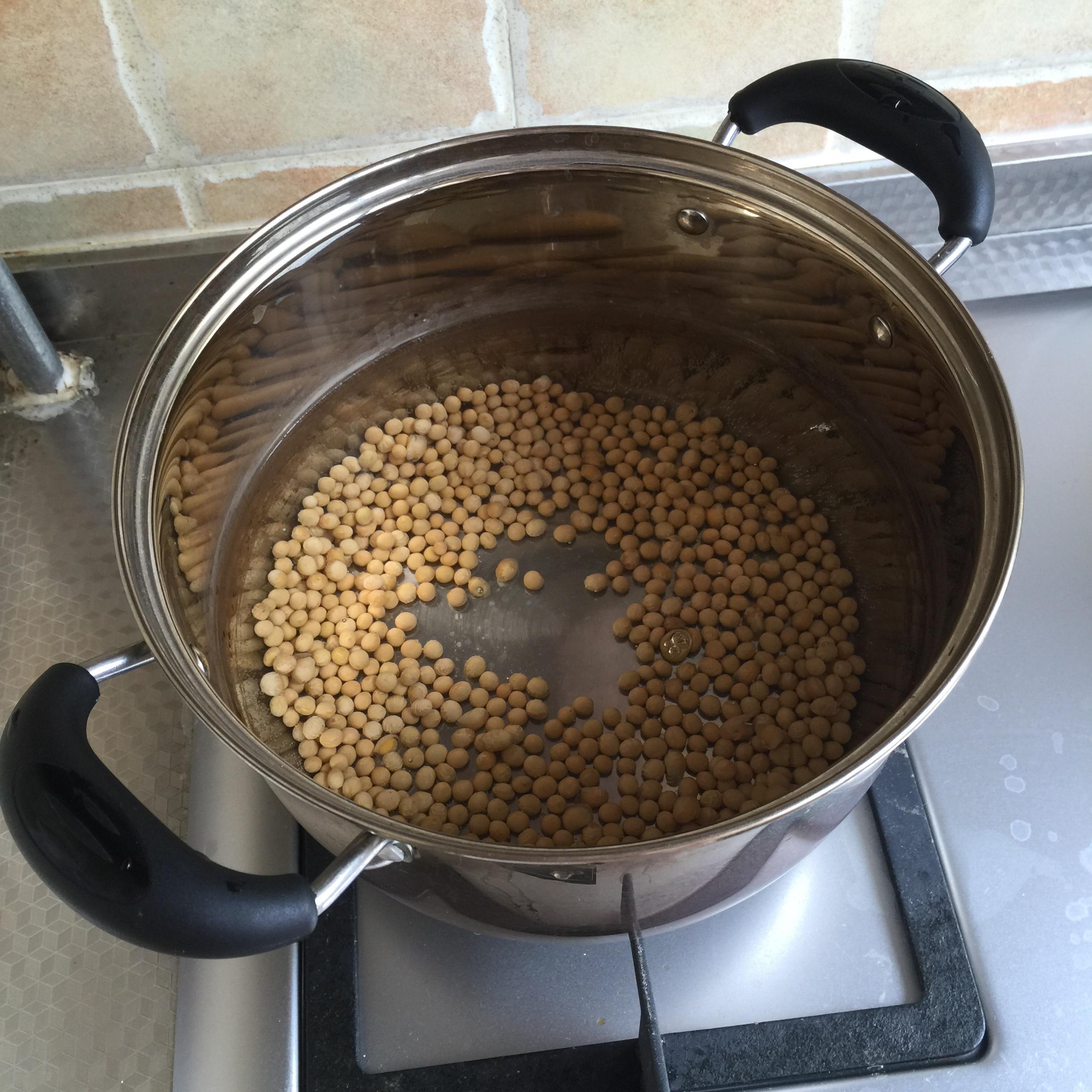 自制超級濃郁的豆漿（料理機版）的做法 步骤1
