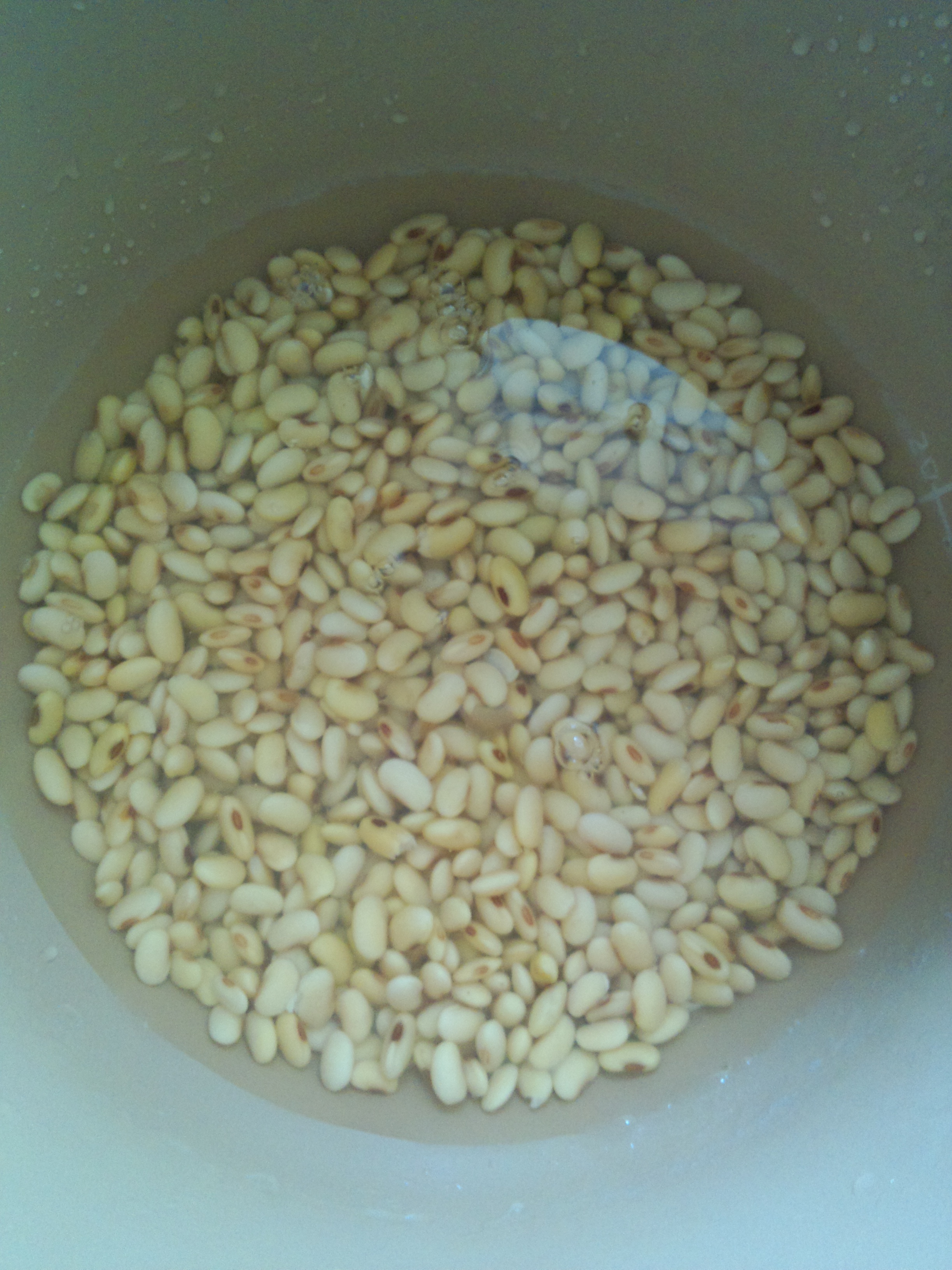 熟豆豆漿的做法 步骤2