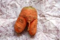 胡蘿蔔土豆燉排骨的做法 步骤3