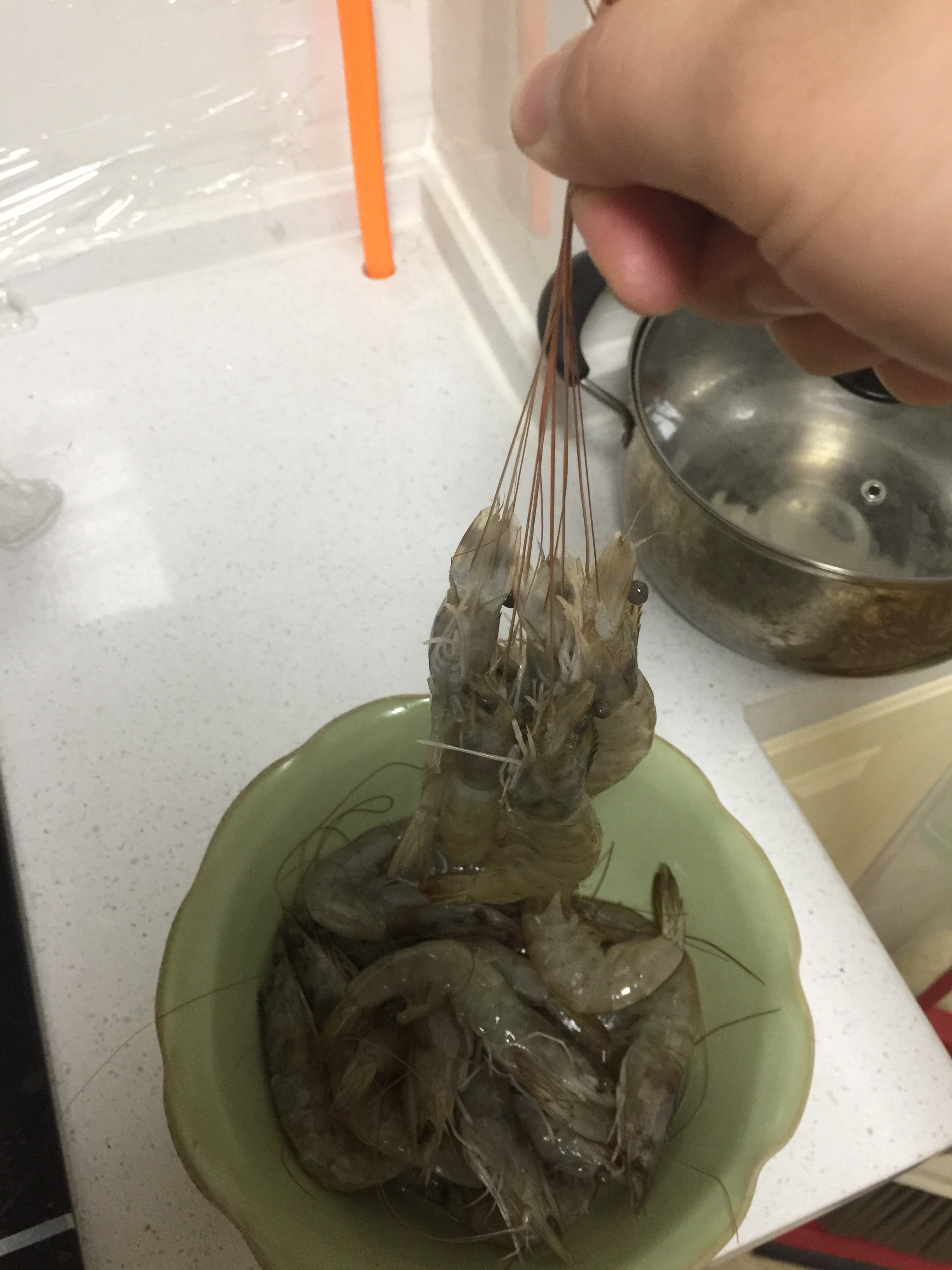 香辣河蝦的做法 步骤1