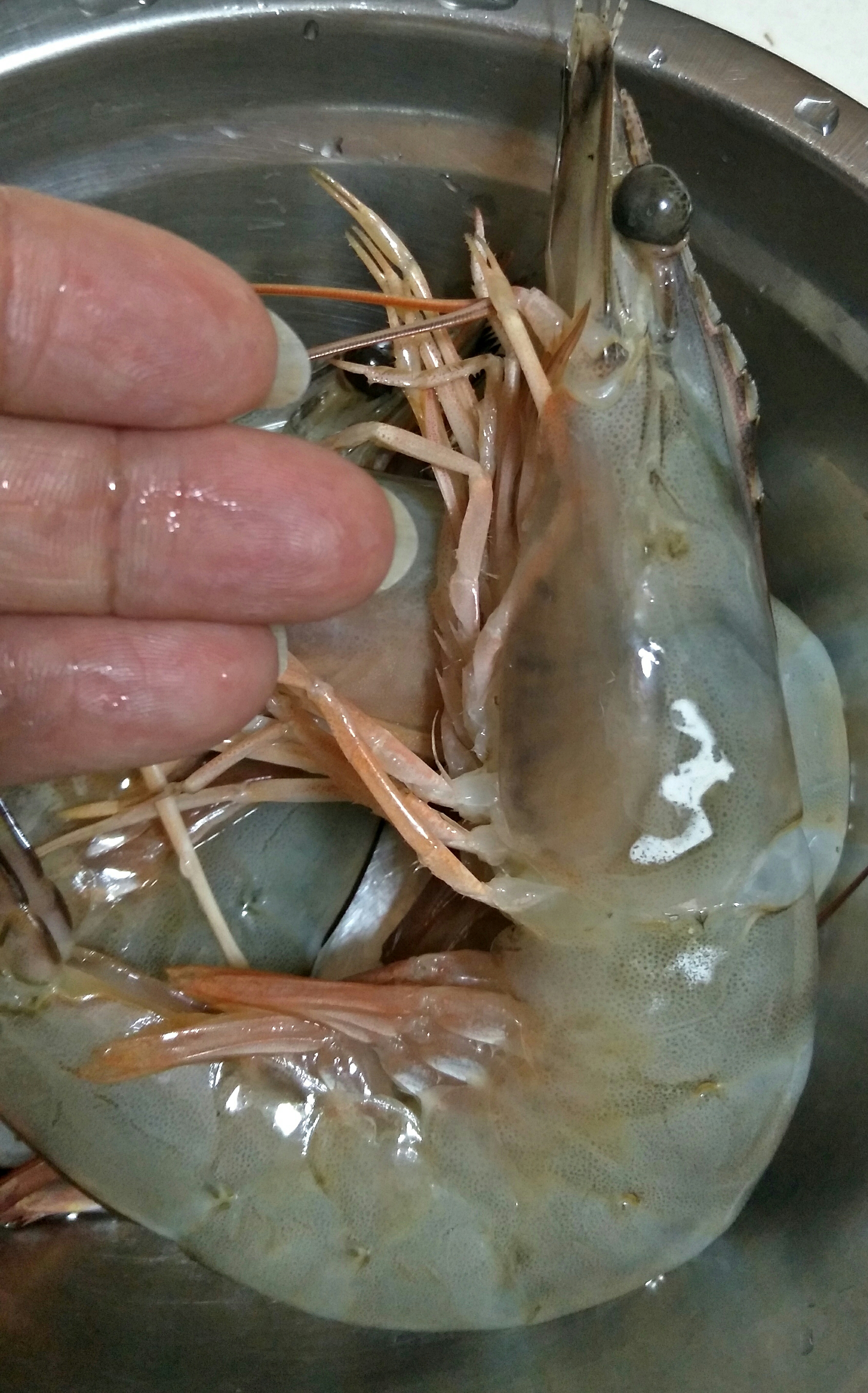 油燜湛江大海蝦的做法 步骤1