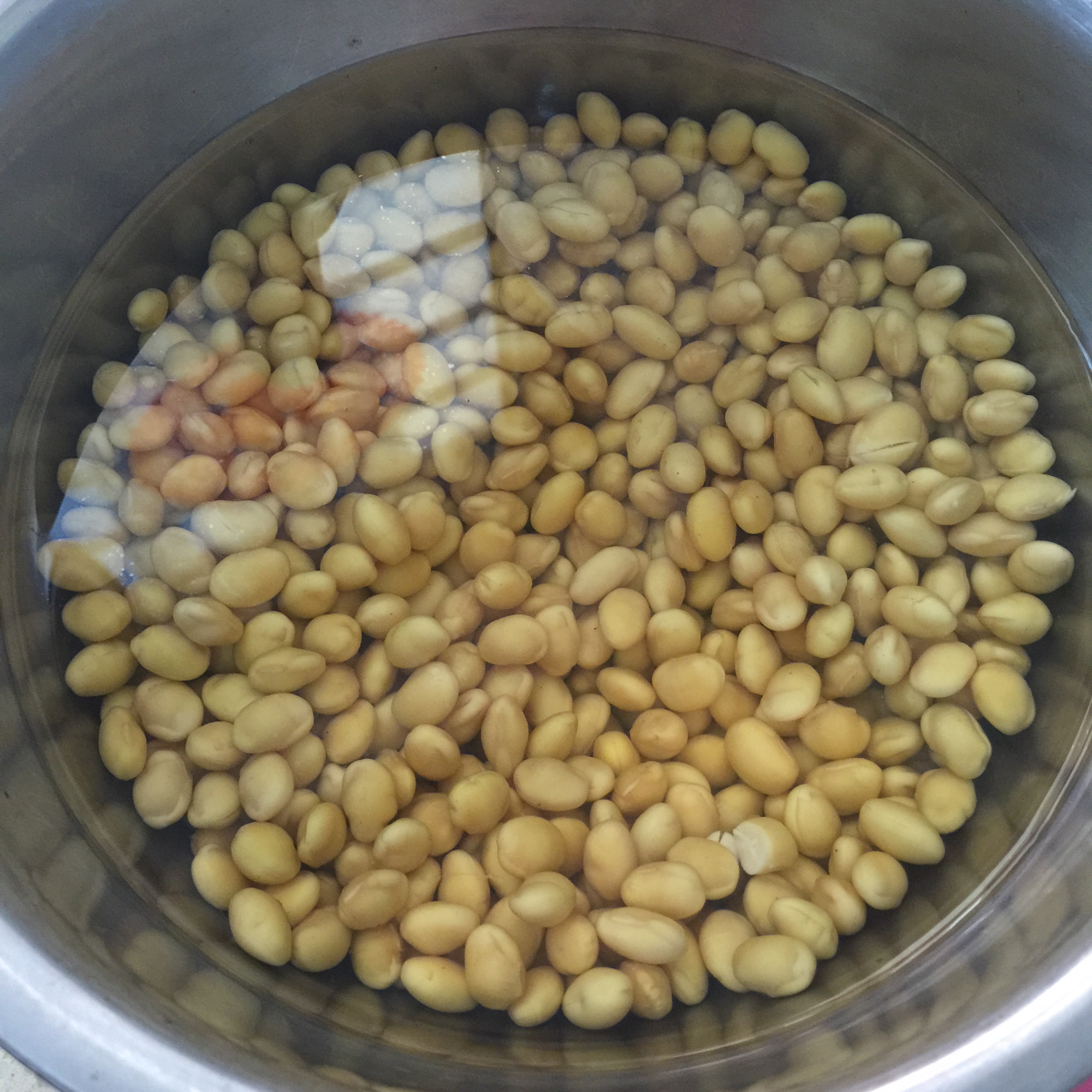 海帶黃豆燉豬皮的做法 步骤2