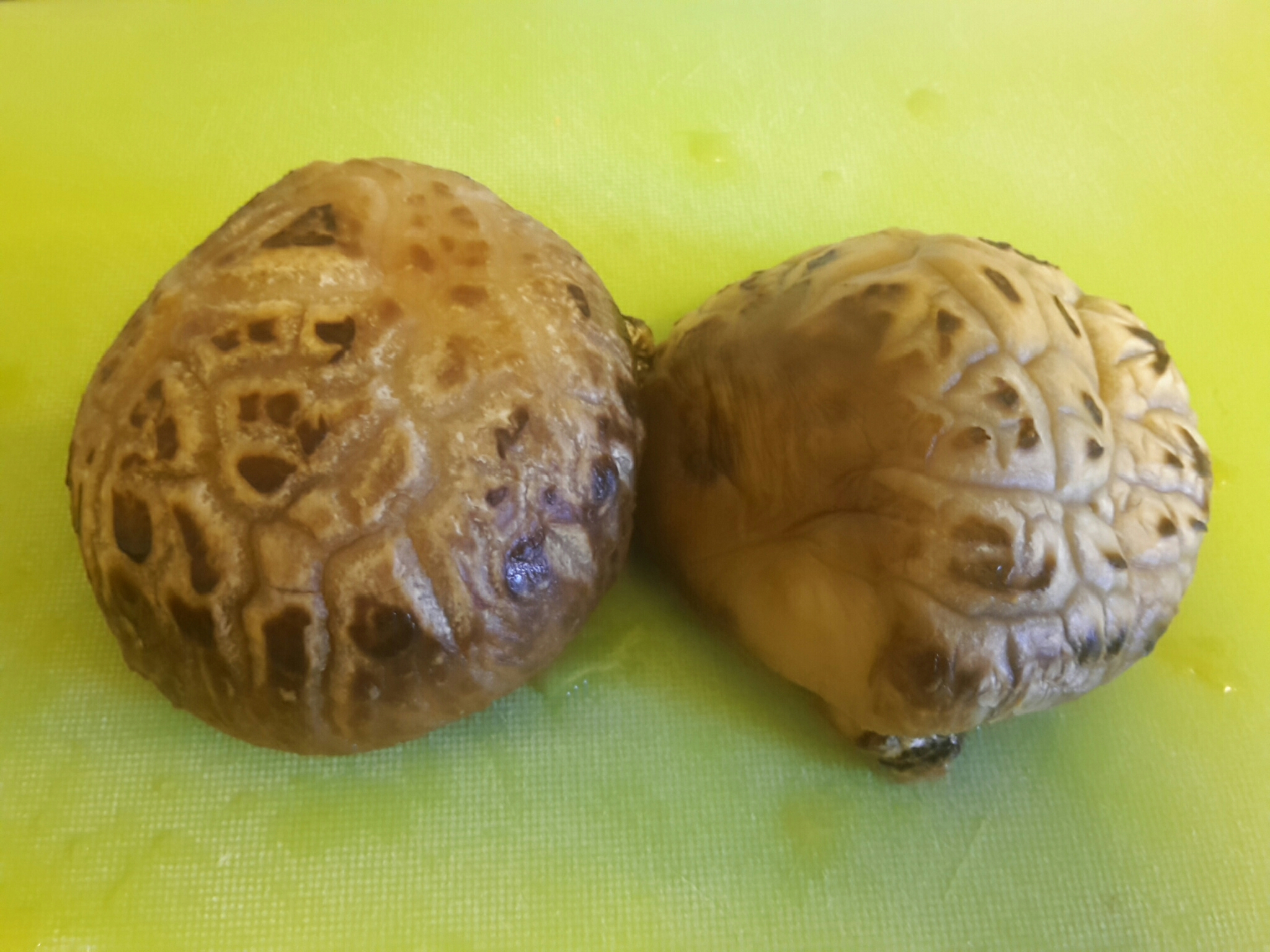 花菇海蔘燜鴨掌 蜂窩鑄鐵鍋版的做法 步骤2