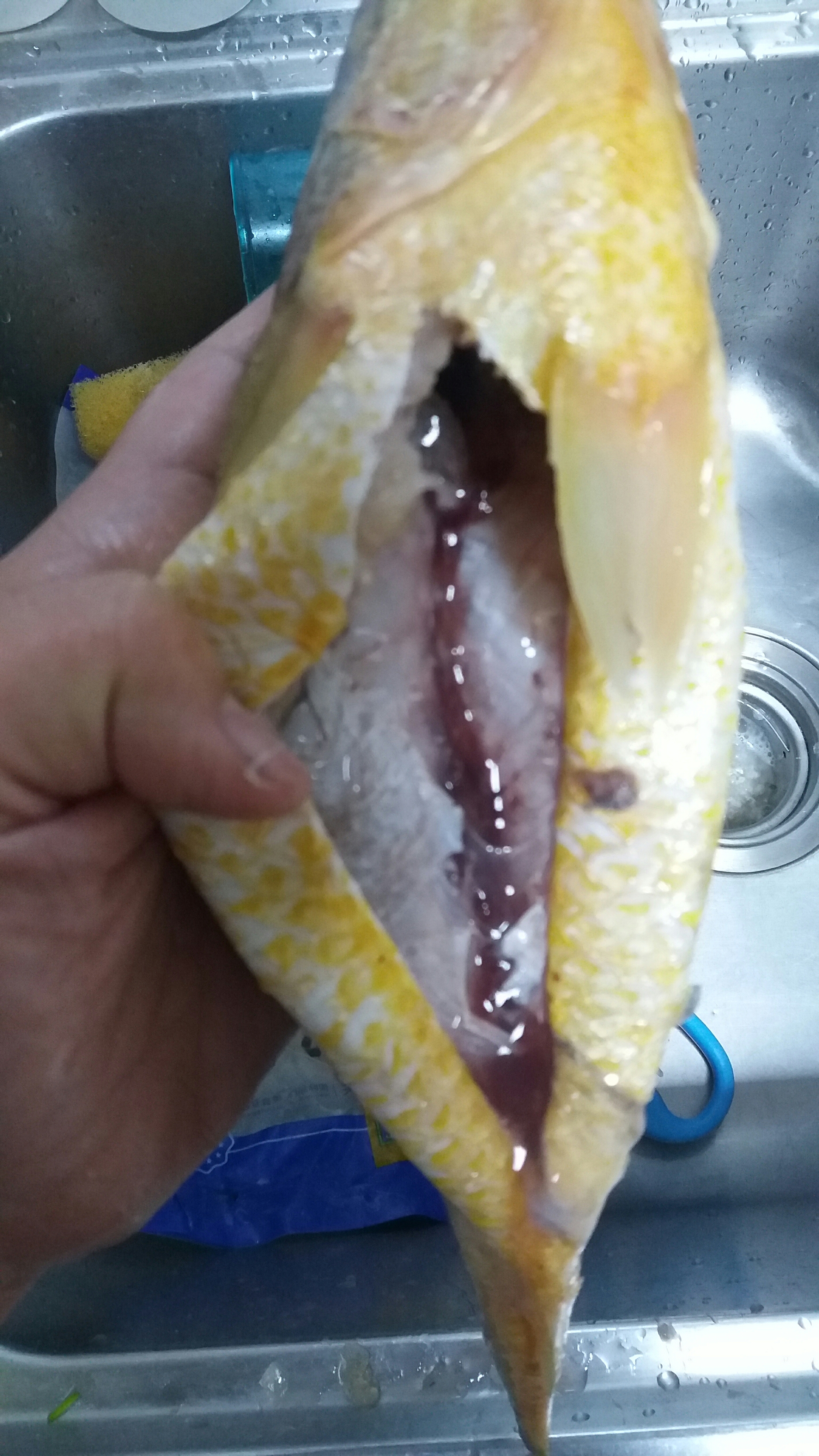 紅燒黃花魚的做法 步骤1