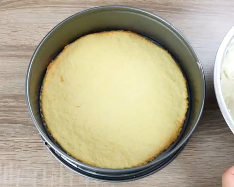 杏子乳酪蛋糕的做法 步骤12