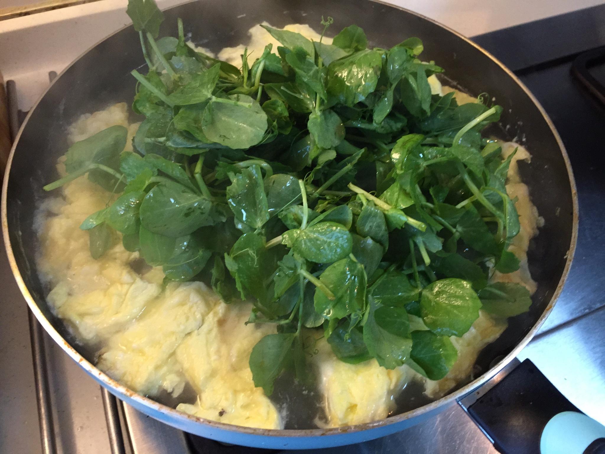 豌豆尖煎蛋湯的做法 步骤7