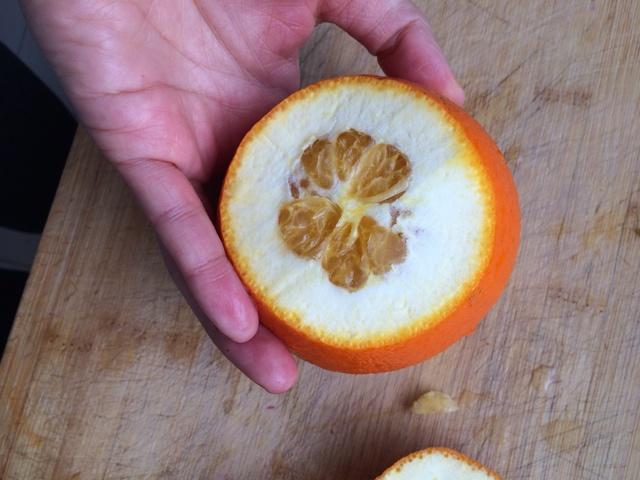 橙皮果凍的做法 步骤7