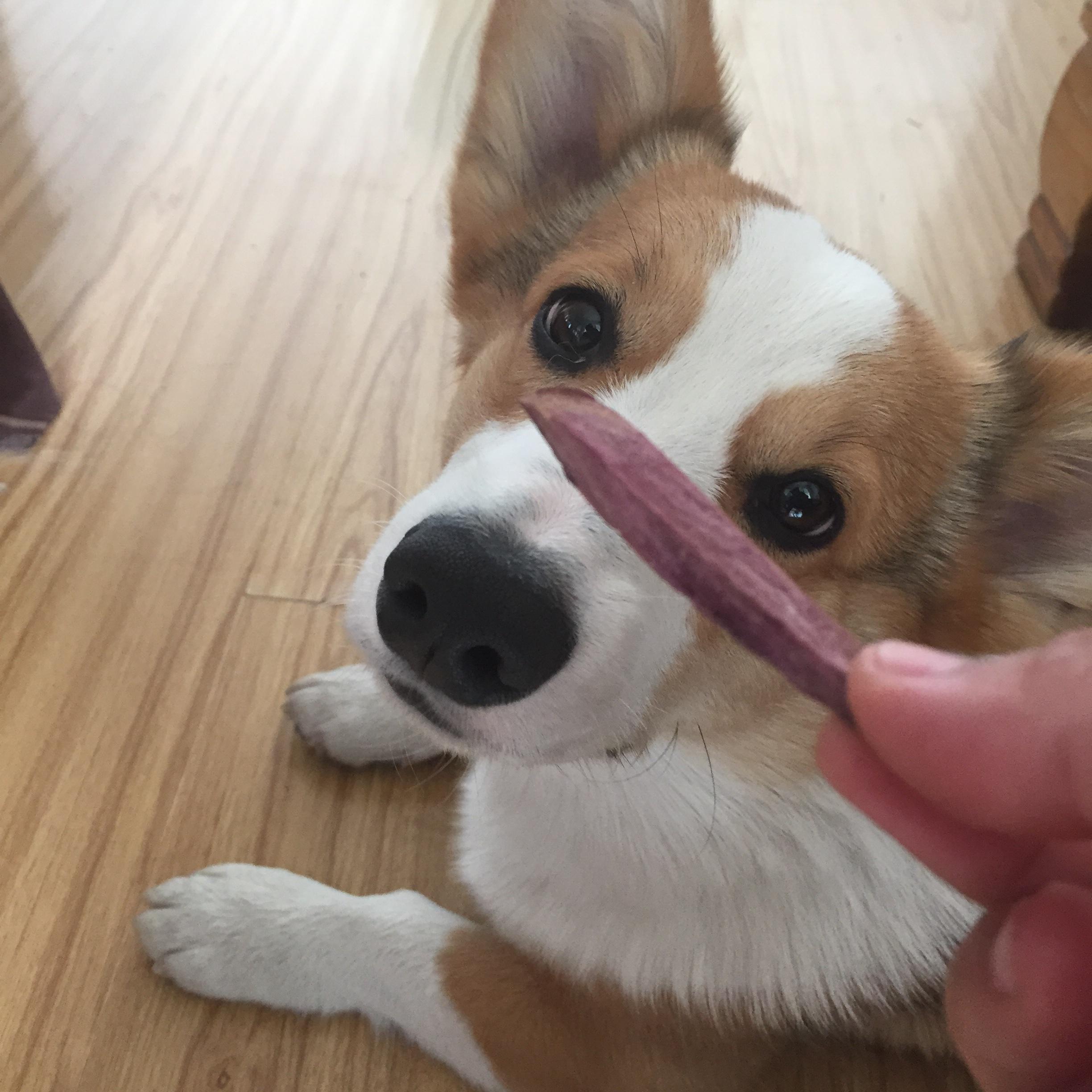 狗狗零食 紫薯幹的做法 步骤4