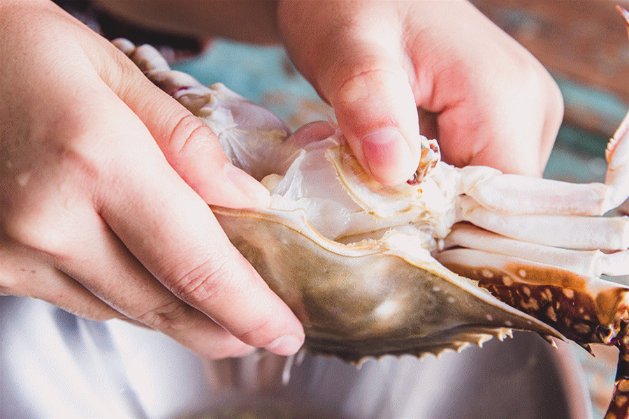 絲瓜梭子蟹煲：梭子蟹的鮮美開啟方式的做法 步骤2