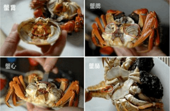 絲瓜梭子蟹煲：梭子蟹的鮮美開啟方式的做法 步骤3