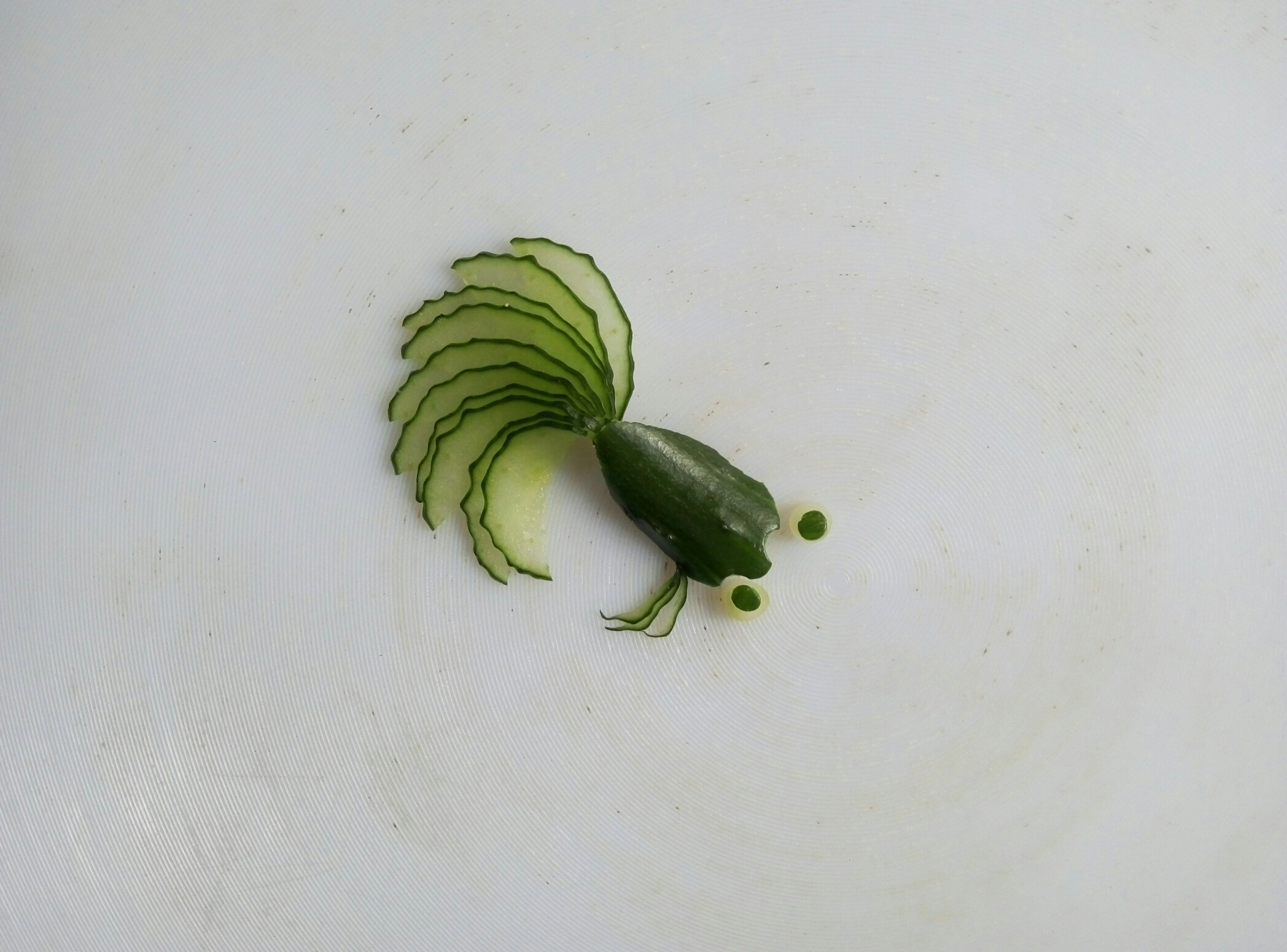 黃瓜金魚(我的創意小盆飾)的做法 步骤8
