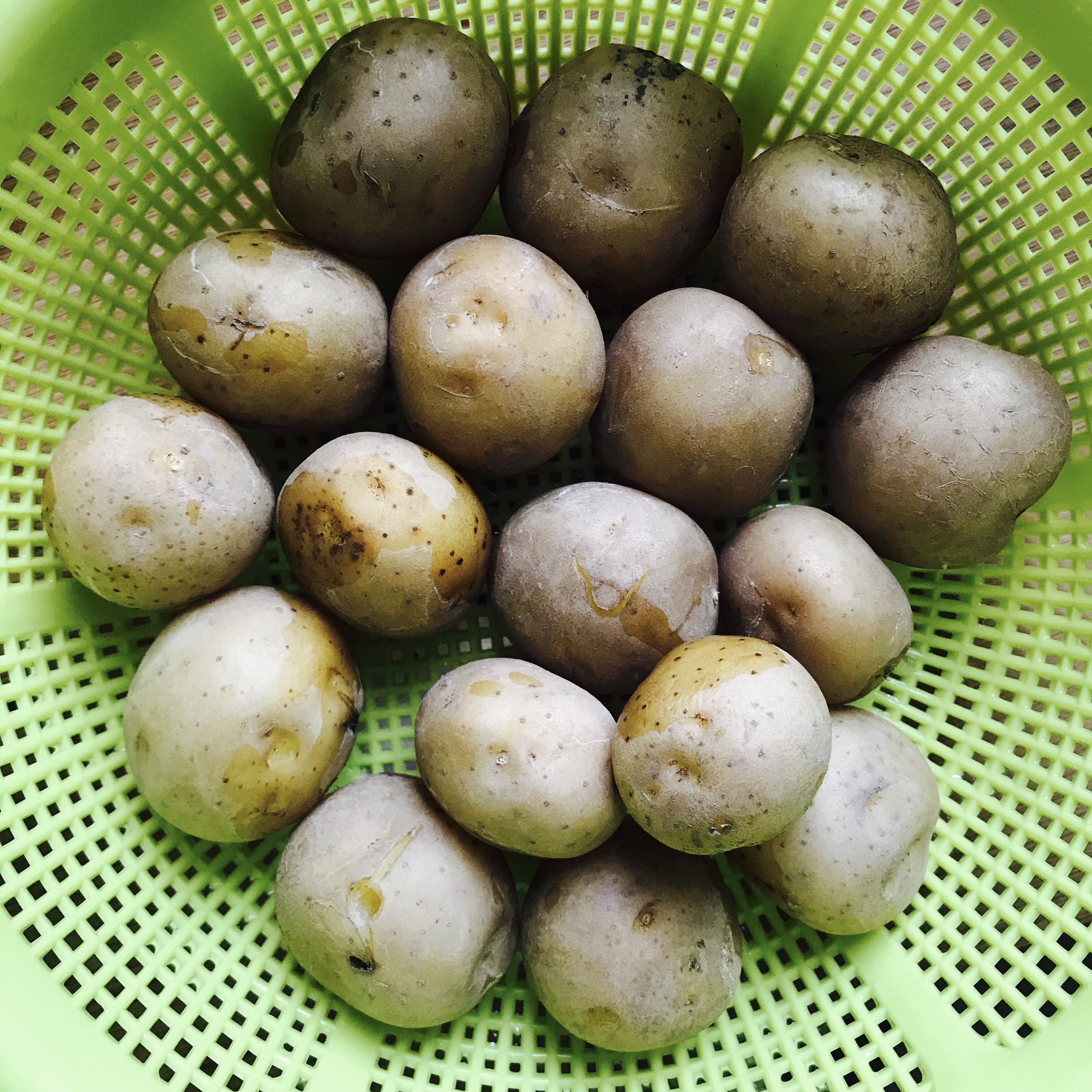 烤箱菜—迷迭香小土豆的做法 步骤1