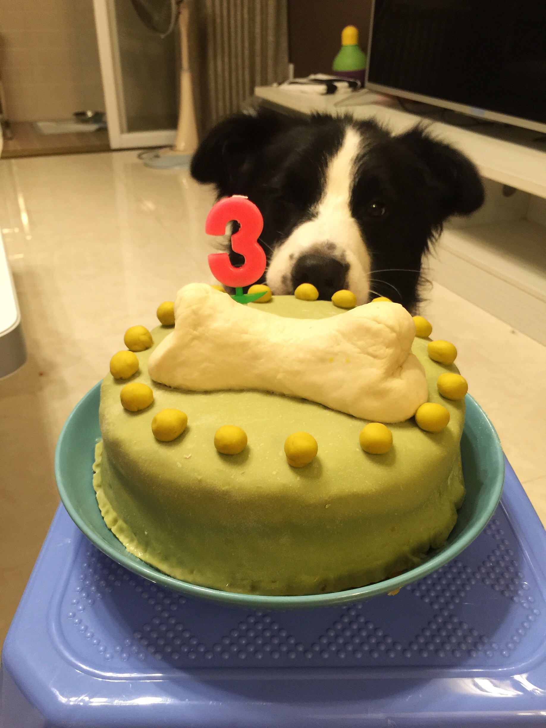 狗狗蛋糕（無麪粉）的做法 步骤11