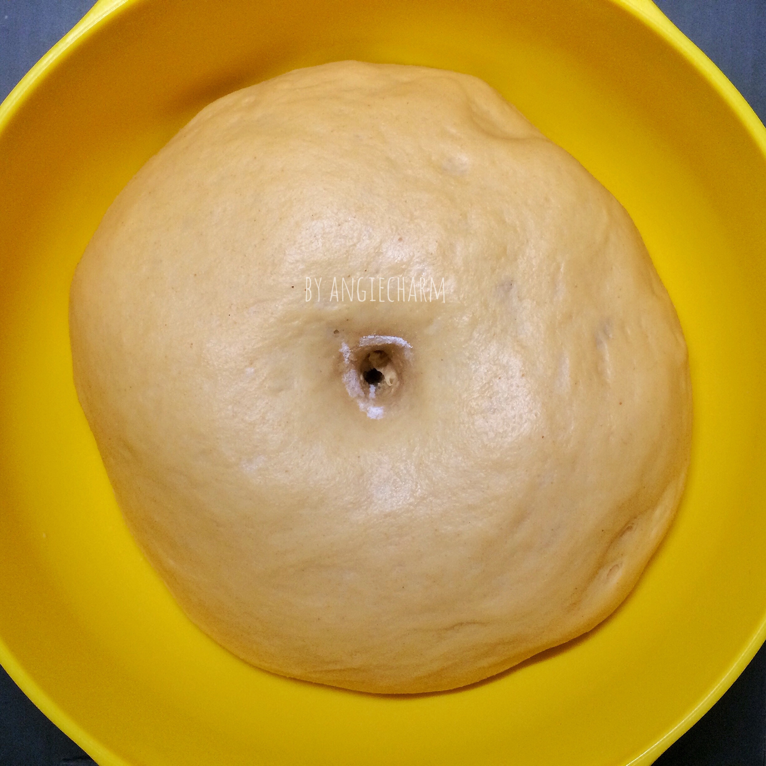 湯種煉乳黃豆粉面包的做法 步骤7