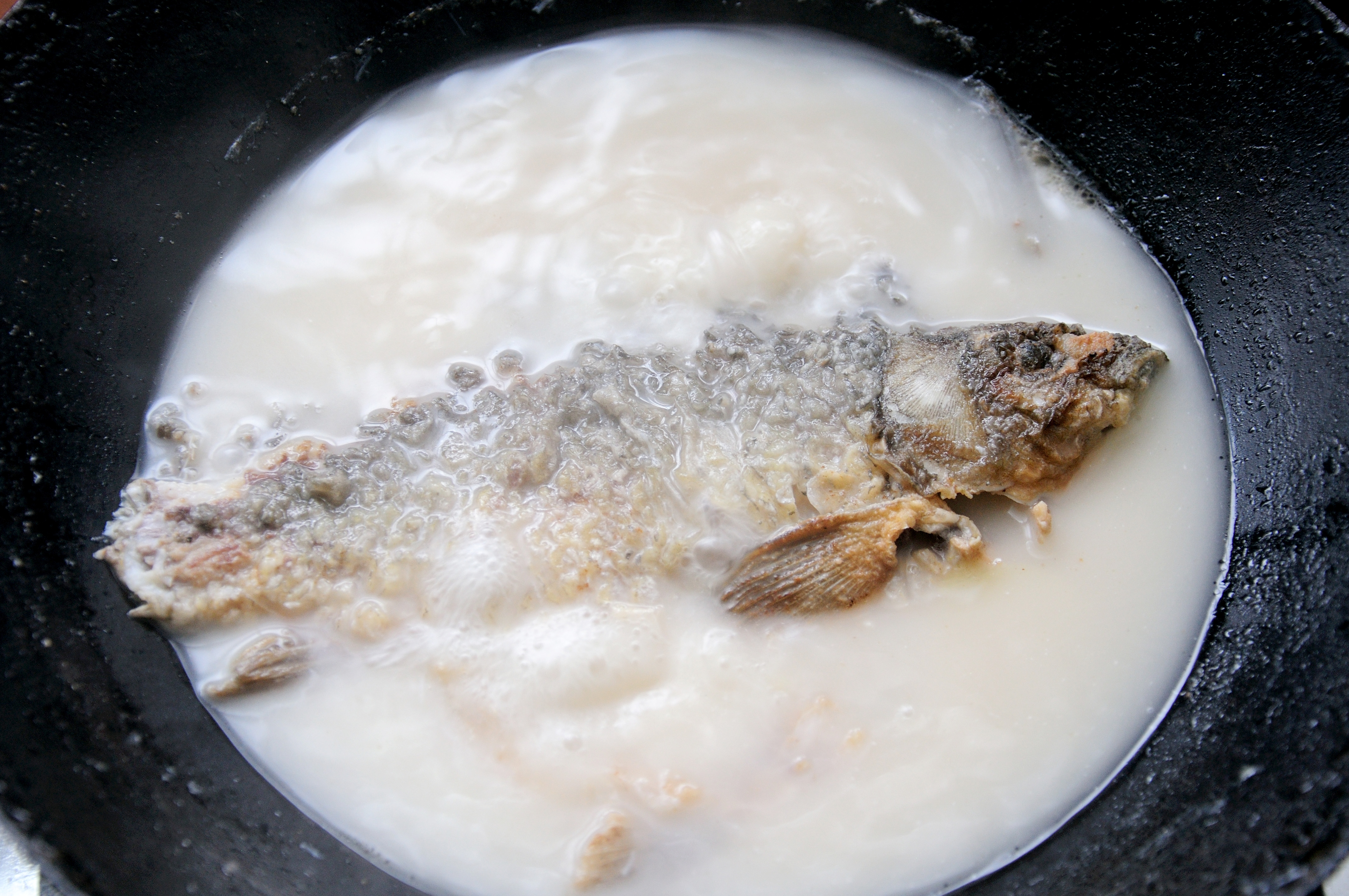 清燉鯽魚湯 三個關鍵步驟讓你輕鬆燉出湯濃味鮮色白似奶的鯽魚湯的做法 步骤6