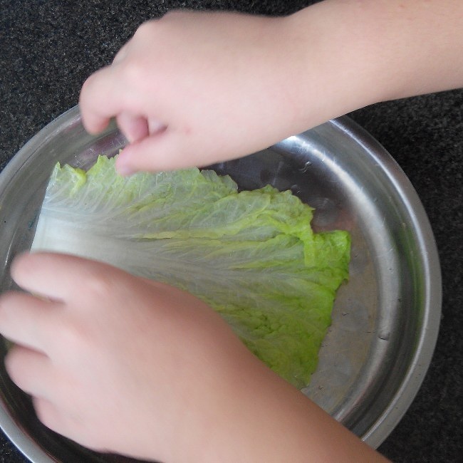 香菇肉末白菜卷(八歲兒童版)的做法 步骤5