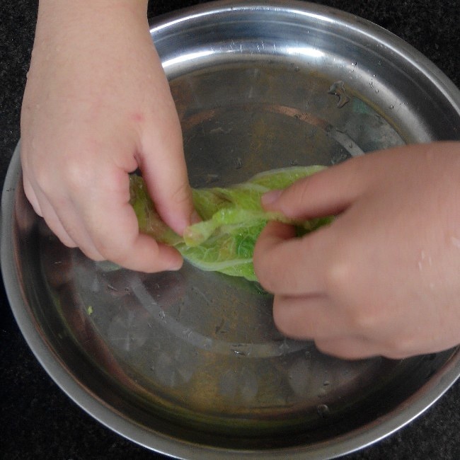 香菇肉末白菜卷(八歲兒童版)的做法 步骤9