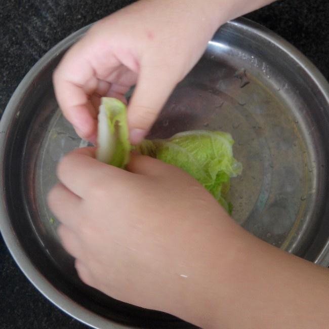 香菇肉末白菜卷(八歲兒童版)的做法 步骤10