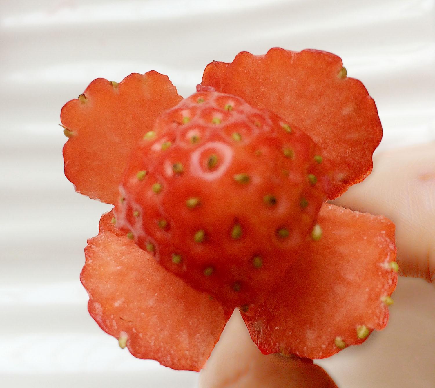 ❤草莓之戀❤情人節草莓玫瑰花的做法 步骤2