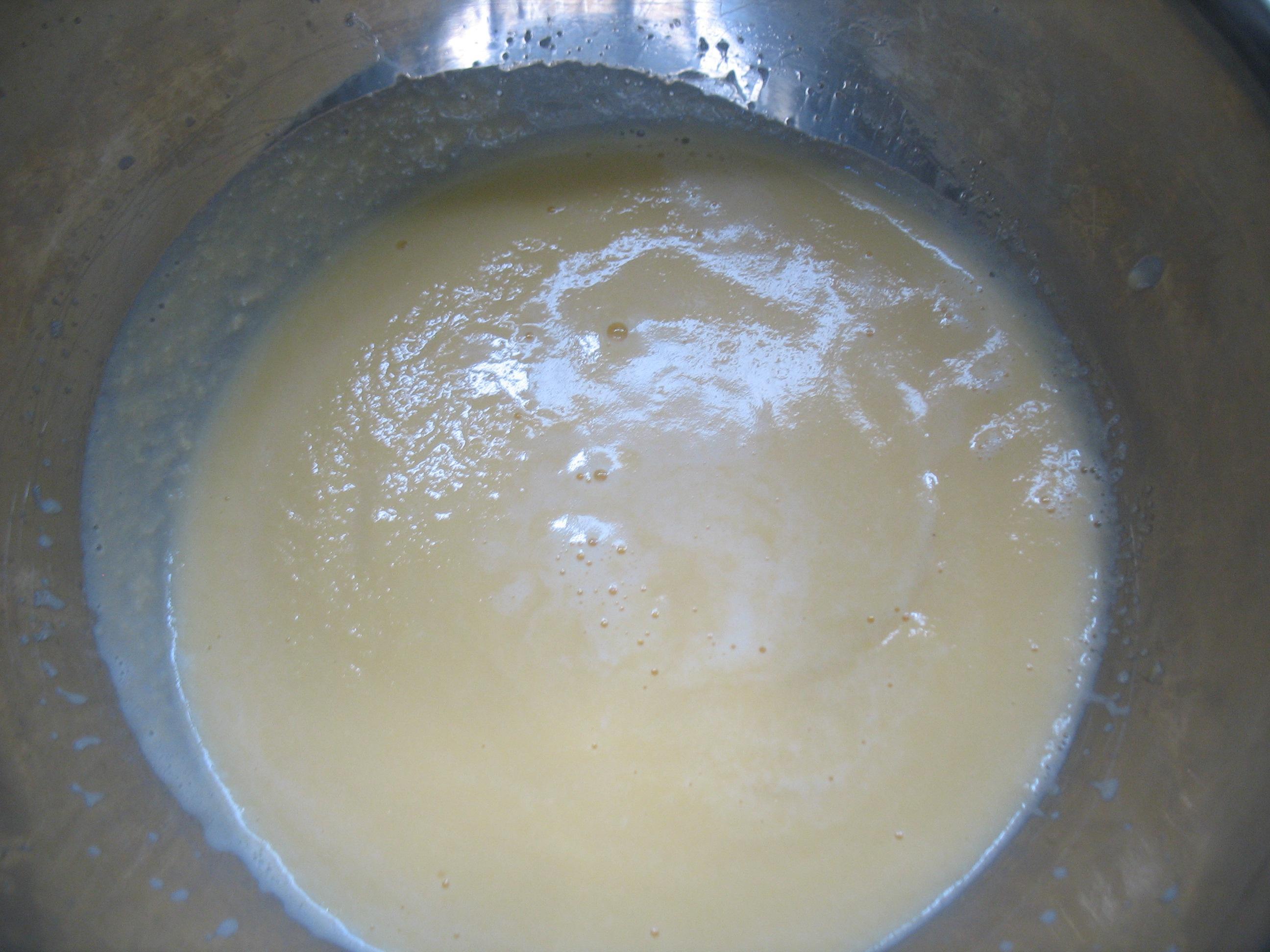 低脂純牛奶冰淇淋（脂肪含量為10.8%）的做法 步骤10