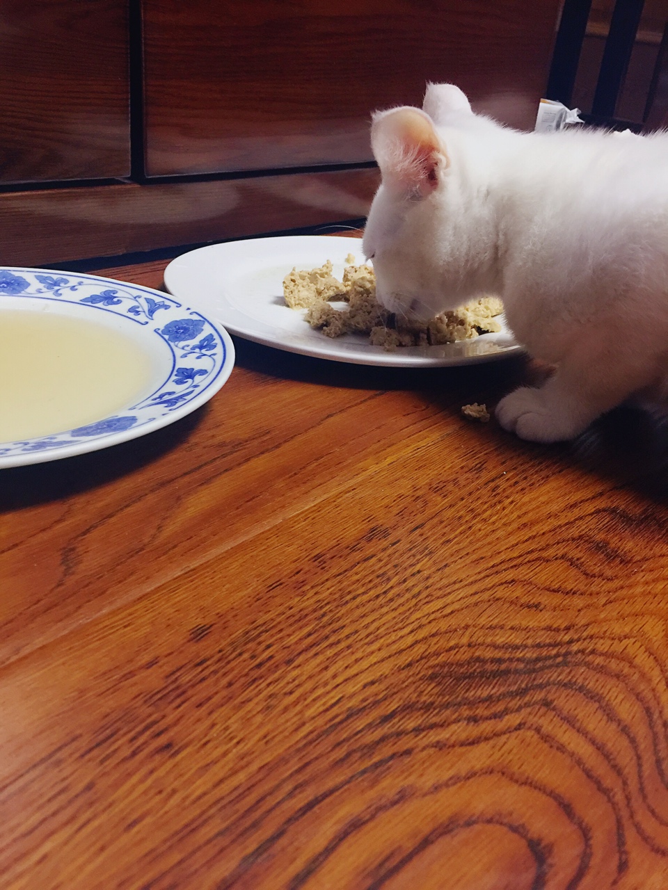 貓飯—雞肉鮮蝦飯的做法 步骤7