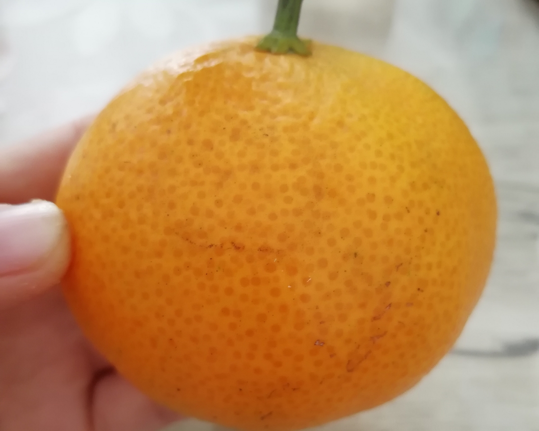 橘子開花（創意水果）的做法 步骤1
