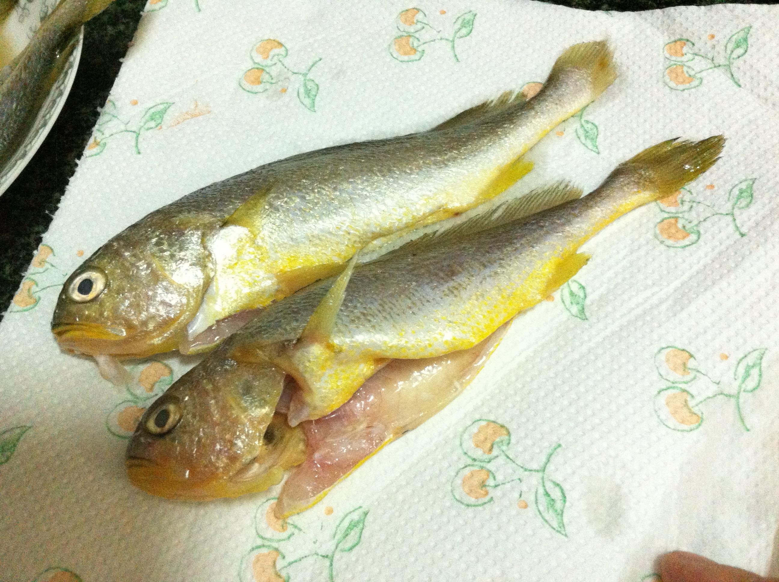香煎小黃魚的做法 步骤2