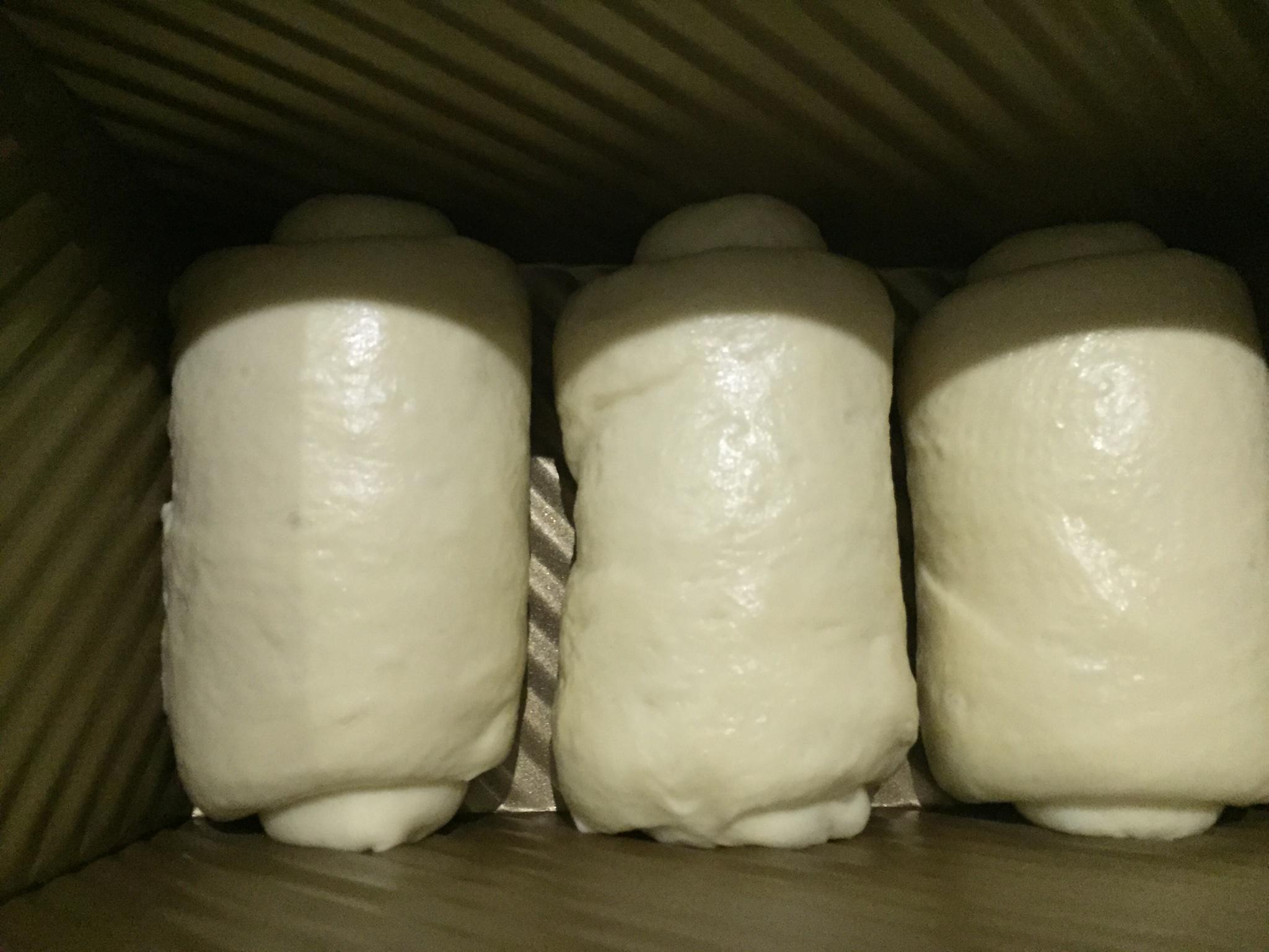 清淡系牛奶蛋白吐司～一次發酵老面版的做法 步骤11