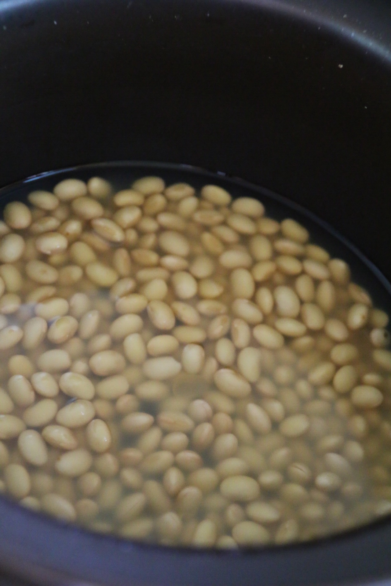 百合米豆漿（九陽豆漿機版）的做法 步骤1