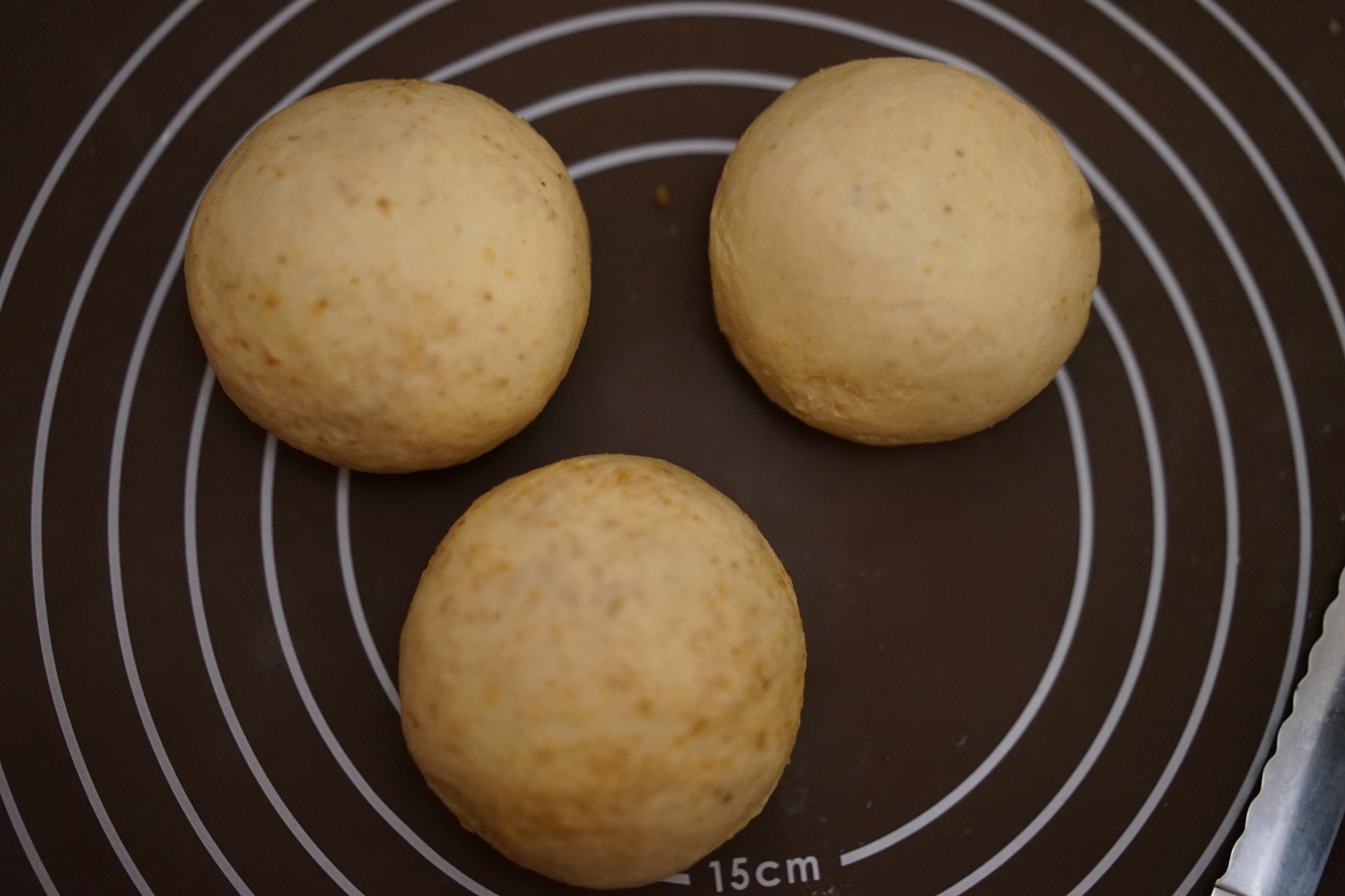 黃豆胚芽吐司——低糖的做法 步骤12