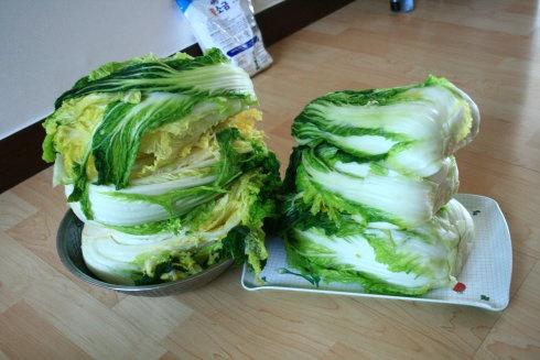 來自韓國媳婦的正宗韓式泡菜醃製方法~~的做法 步骤5