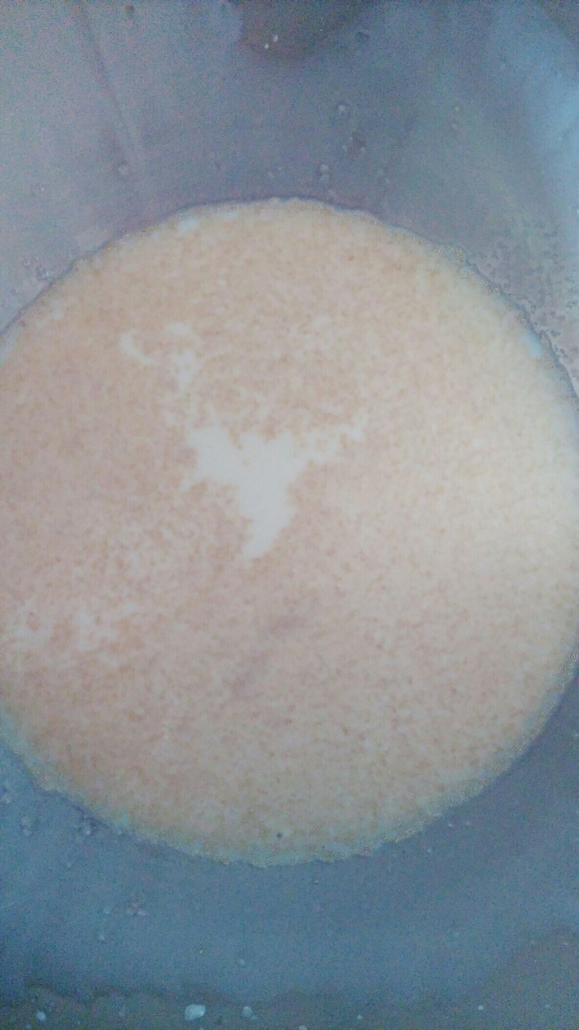 奶香紅棗養生糕（簡易酵母版）的做法 步骤5
